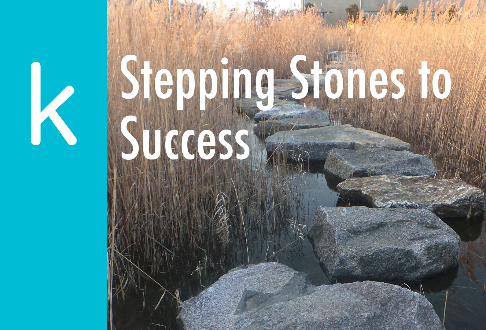 Stepping Stones To Success The K Guy